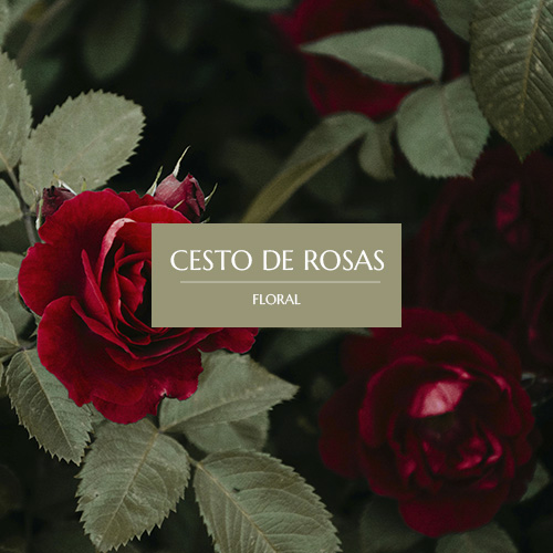 CESTO DE ROSAS